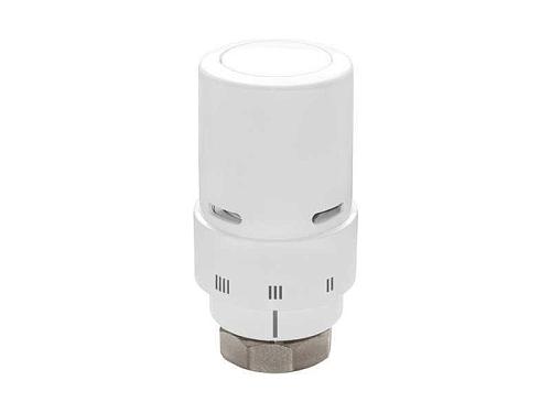 Danfoss (Данфосс)  RAX-K Термостатический элемент (013G6080)